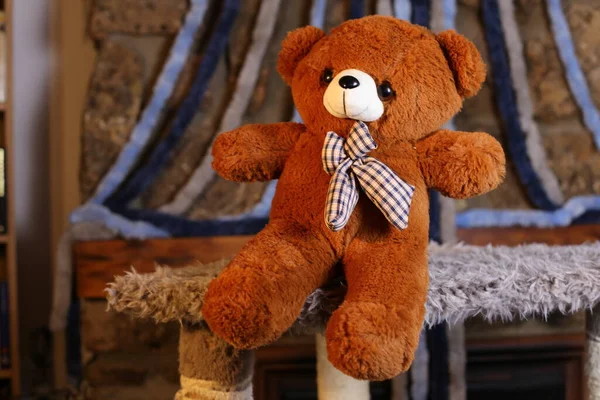 Primer Plano Tiro Peluche Oso Suave Juguete — Foto de Stock