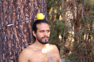 Yakından bakınca, ağaçların önünde okla delinmiş elmalı yakışıklı, üstsüz genç bir adamın portresi.