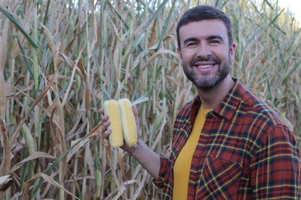 Close Portrait Handsome Young Man Corn Field — 스톡 사진