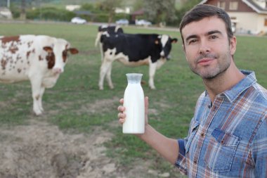 Yeşil çayır üzerinde duran bir şişe sütle arka planda otlayan ineklerin portresi.