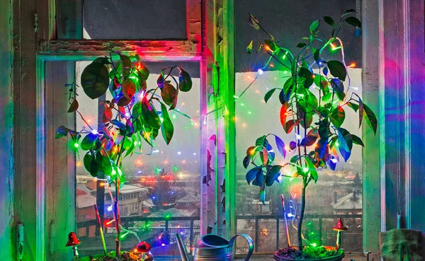 Újév és Karácsony szokatlan cserepes fák díszített színes fények és gombák egy ablakpárkányon — Stock Fotó