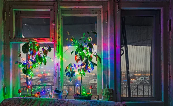 New Year and Christmas unusual potted trees decorated with coloured lights and mushrooms on a windowsill — Fotografia de Stock