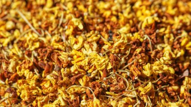 Çay içmek için parlak, sarı osmanthus çiçekleri.