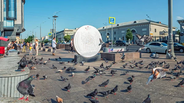 MOSCOU, RUSSIE - 08 JUILLET 2021 : Beaucoup de pigeons lors d'une journée d'été dans le centre de Moscou sur la rue Krymsky Most — Photo