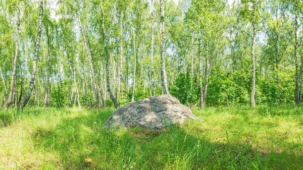 Uma grande pedra sagrada antiga, Sledovik, coberta com líquen em uma floresta de bétulas na região de Orel, Rússia — Fotografia de Stock