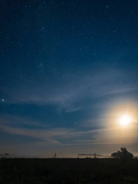 Een prachtige zomernacht sterrenhemel en de maan verlicht een mistig veld en bos, een nachtelijk natuurlijk landschap — Stockfoto