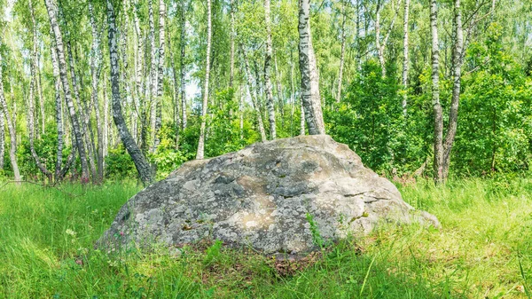 Una gran roca sagrada antigua, Sledovik, cubierta con líquenes en un bosque de abedules en la región de Orel, Rusia — Foto de Stock