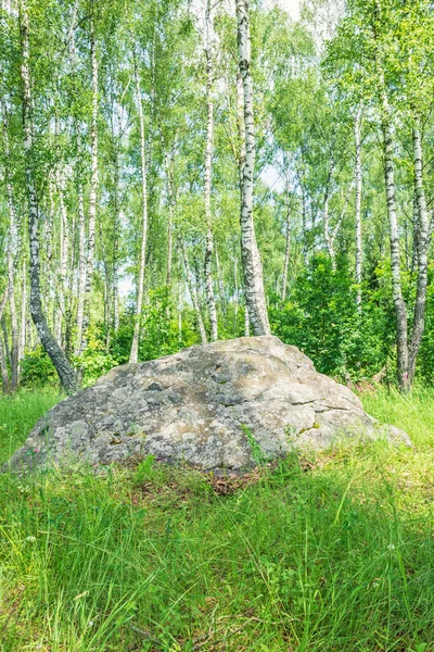 Una gran roca sagrada antigua, Sledovik, cubierta con líquenes en un bosque de abedules en la región de Orel, Rusia — Foto de Stock