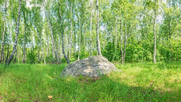 Rusya 'nın Orel bölgesinde bir huş ağacında liken ile kaplanmış büyük kutsal bir kaya parçası, Sledovik. — Stok fotoğraf