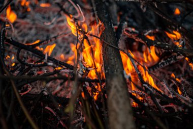 Akşam ateşi yanıyor. Yüksek kalite alevler