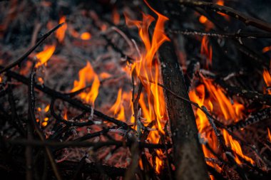 Akşam ateşi yanıyor. Yüksek kalite alevler