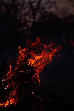 Akşam ateşi yanıyor. Yüksek kalite alevler