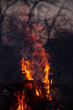 Akşam ateşi yanıyor. Yüksek kalite alevler