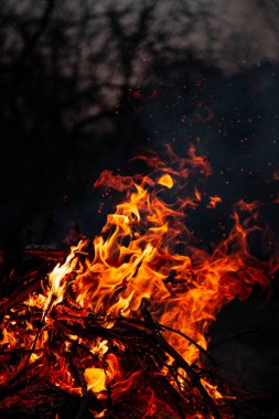 Akşam ateşi yanıyor. Yüksek kalite alevler