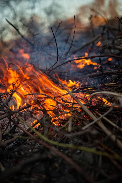 夜火在燃烧 高质量的火焰 — 图库照片