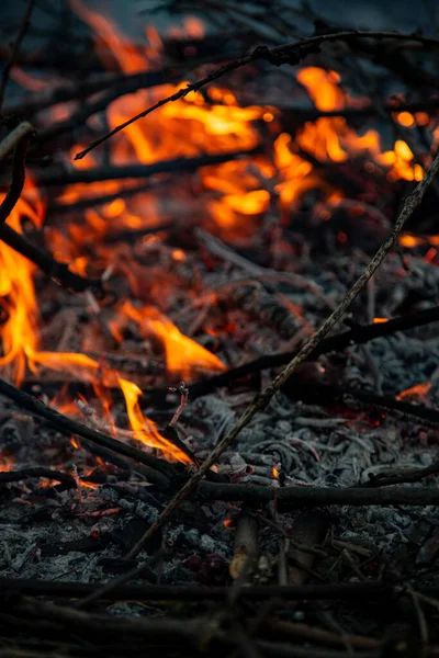 Kvällselden Brinner Lågor Hög Kvalitet — Stockfoto