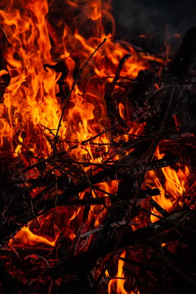 Fuego Tarde Está Ardiendo Llamas Alta Calidad —  Fotos de Stock