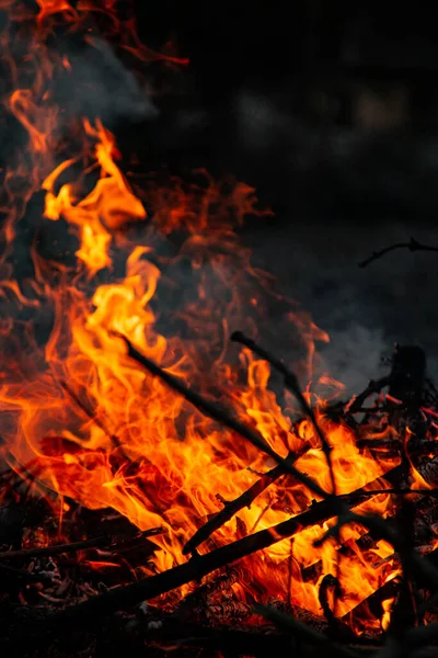 Evening Fire Burning Flames High Quality — стоковое фото