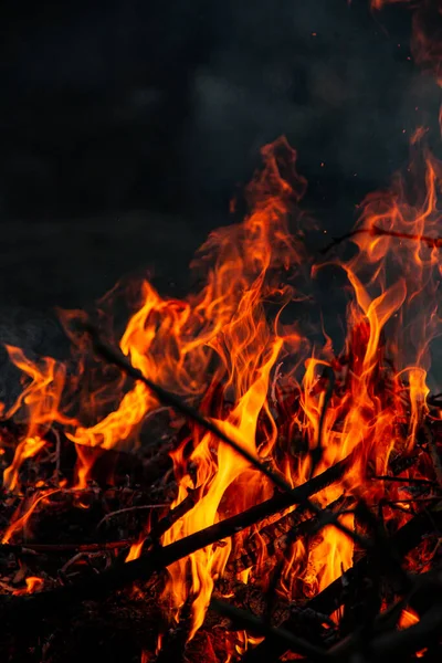 Fuego Tarde Está Ardiendo Llamas Alta Calidad — Foto de Stock