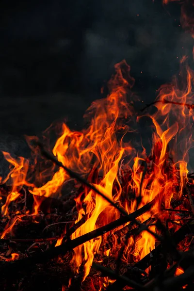 Kvällselden Brinner Lågor Hög Kvalitet — Stockfoto