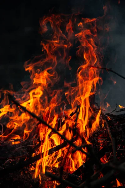 Akşam ateşi yanıyor. Yüksek kalite alevler
