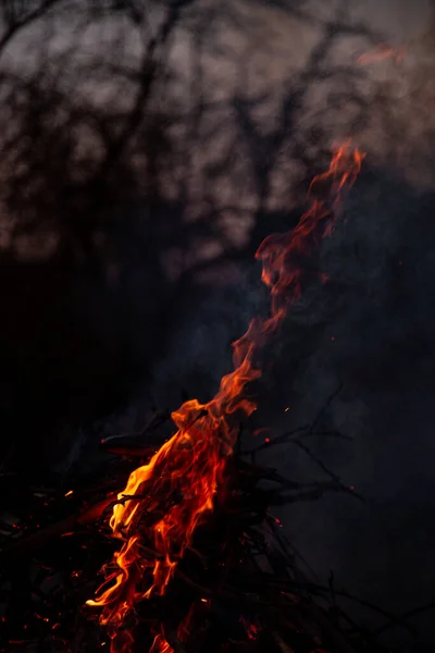 Evening Fire Burning Flames High Quality —  Fotos de Stock