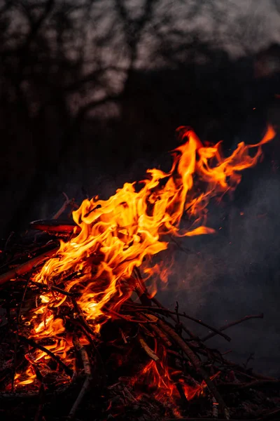 Kvällselden Brinner Lågor Hög Kvalitet — Stockfoto