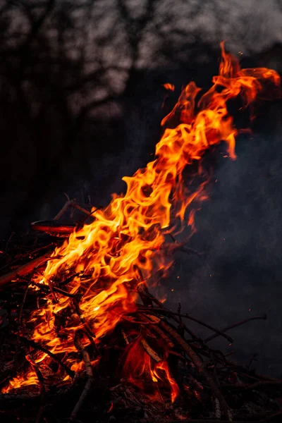 Kvällselden Brinner Lågor Hög Kvalitet — Stockfoto