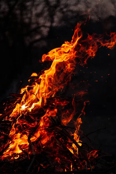 Evening Fire Burning Flames High Quality — стоковое фото