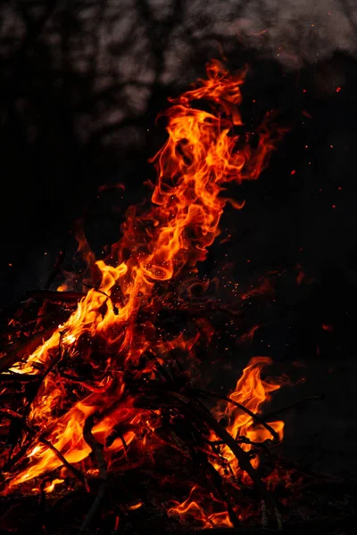 Fogo Noite Está Arder Chama Alta Qualidade — Fotografia de Stock