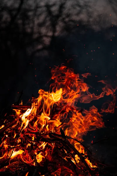 Evening Fire Burning Flames High Quality — стоковое фото