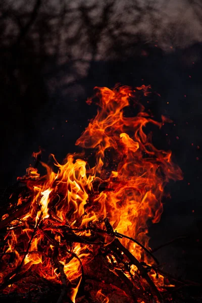 Akşam ateşi yanıyor. Yüksek kalite alevler