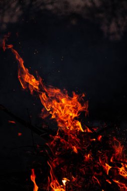 Akşam ateşi yanıyor. Yüksek kalite alevler