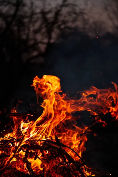 Fogo Noite Está Arder Chama Alta Qualidade — Fotografia de Stock