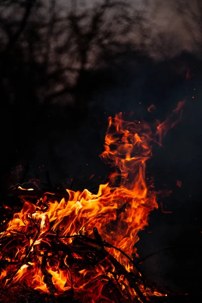 Akşam ateşi yanıyor. Yüksek kalite alevler