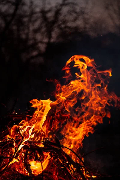 Akşam ateşi yanıyor. Yüksek kalite alevler