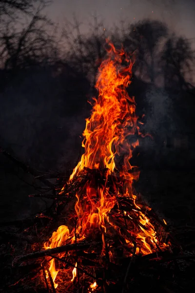 夜の火は燃えている 高品質の炎 — ストック写真