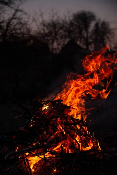 Evening Fire Burning Flames High Quality — Photo