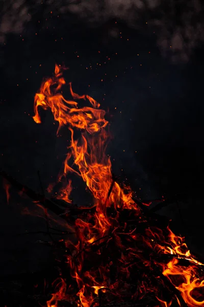 Evening Fire Burning Flames High Quality — Foto de Stock