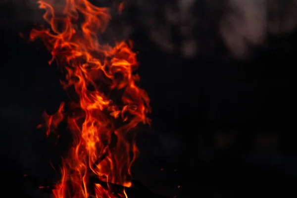 Das Abendfeuer Brennt Flammen Hoher Qualität — Stockfoto