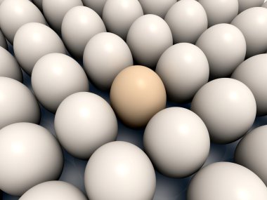 kahverengi yumurta beyaz arasında