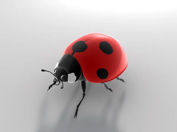 Ladybug — Stock Photo, Image