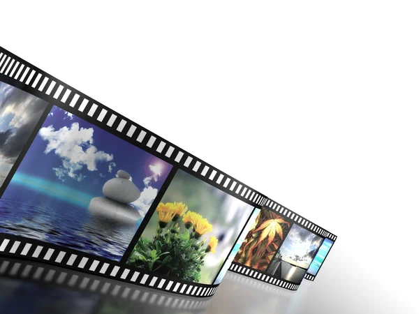 Rotolo di film con immagini della natura a colori Immagine Stock