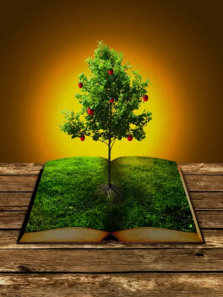 Tree of knowledge growing out of book — Stock Photo, Image