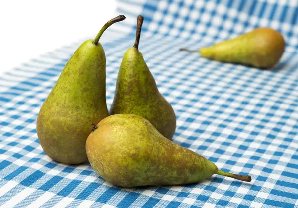 armut ile natürmort