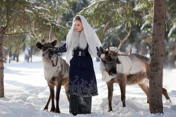 Зимой Девушка Гуляет Оленем Лесу Сказка Олени Сказочная Фотосессия — стоковое фото