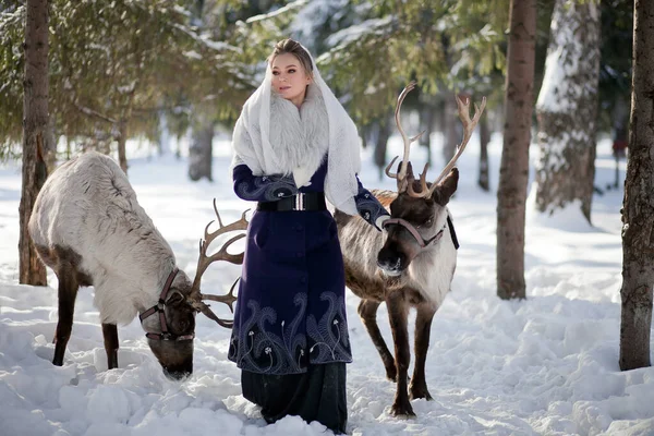 Uma Menina Caminha Inverno Com Veados Floresta Conto Fadas Renas — Fotografia de Stock