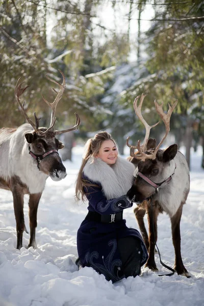 Uma Menina Caminha Inverno Com Veados Floresta Conto Fadas Renas — Fotografia de Stock