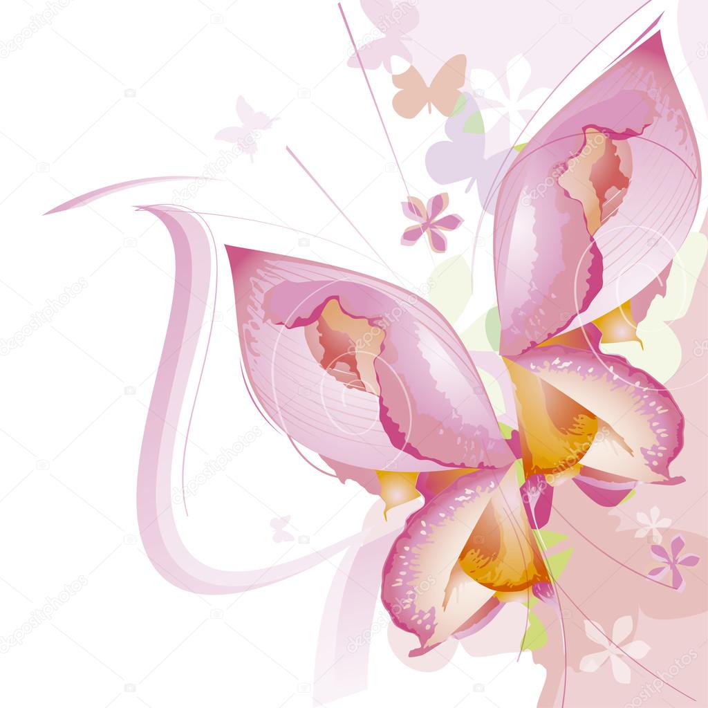 Background for greeting card pink flower butterfly