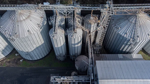 Silbersilos Auf Einer Agroproduktionsanlage Zur Verarbeitung Von Trockenreinigung Und Lagerung — Stockfoto